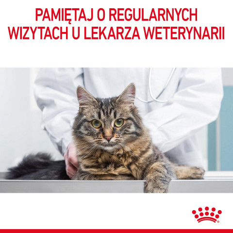 ROYAL CANIN FCN Urinary Care - sucha karma dla kota dorosłego - 4kg - Galeria zdjęcie 10