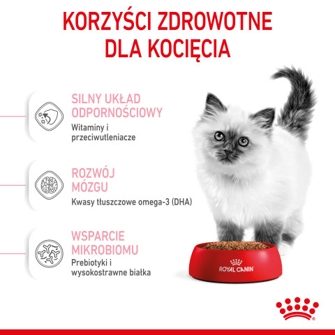 ROYAL CANIN FHN Kitten - sucha karma dla kociąt - 10kg - Galeria zdjęcie 5