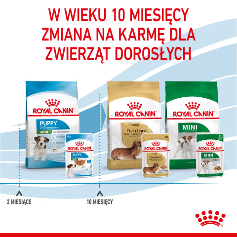 ROYAL CANIN SHN Mini Puppy w sosie - mokra karma dla szczeniąt - 12X85 g - Galeria zdjęcie 10