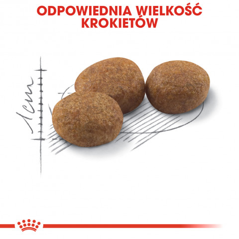 ROYAL CANIN FHN Regular Sterilised 37 - sucha karma dla kota dorosłego - 2 kg - Galeria zdjęcie 8