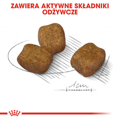 ROYAL CANIN CCN Mini Dental Care - sucha karma dla dorosłych psów - 3 kg - Galeria zdjęcie 7