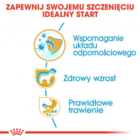 Royal Canin BHN Jack Russel Puppy - sucha karma dla szczeniąt - 3 kg - Galeria zdjęcie 8