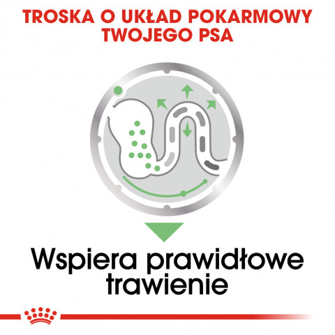 ROYAL CANIN CCN DIGESTIVE CARE LOAF - mokra karma dla psa dorosłego - 12x85 g - Galeria zdjęcie 6