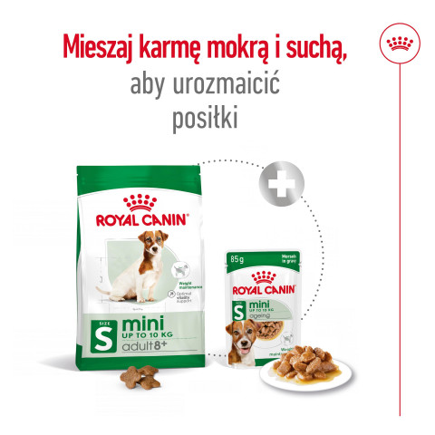 ROYAL CANIN SHN Mini Adult 8+ - sucha karma dla psa dorosłego - 8kg - Galeria zdjęcie 15