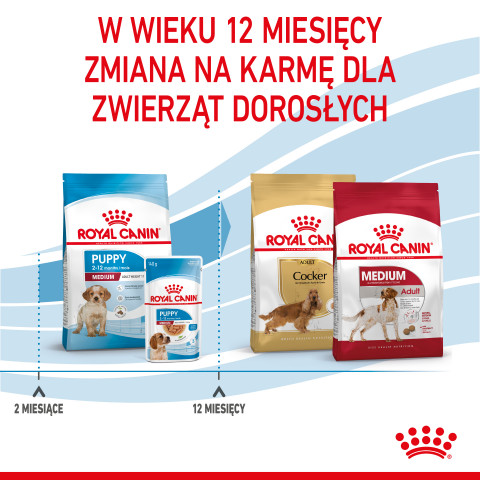 ROYAL CANIN SHN Medium Puppy - sucha karma dla szczeniąt - 4kg - Galeria zdjęcie 11