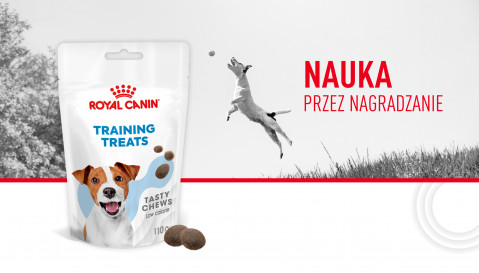 ROYAL CANIN Training Treats - przysmak dla psa - 110g - Galeria zdjęcie 15