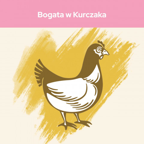 PURINA CAT CHOW Kitten Chicken - sucha karma dla kociąt - 15 kg - Galeria zdjęcie 3