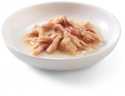 SCHESIR Adult IN SAUCE Tuńczykiem z łososiem w sosie 70g - Galeria zdjęcie 3