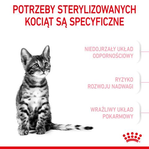ROYAL CANIN Kitten Sterilised - sucha karma dla kociąt - 3,5 kg - Galeria zdjęcie 10