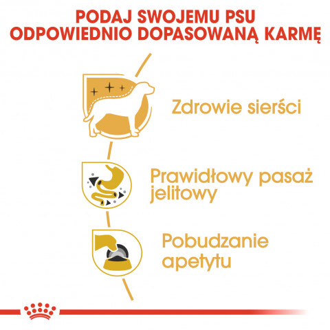 ROYAL CANIN BHN Chihuahua Adult - mokra karma dla psa dorosłego - 12x85 g - Galeria zdjęcie 7