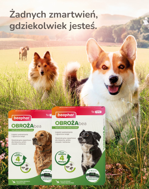Beaphar obroża ochronna na kleszcze pchły dla psa rozm.S - Galeria zdjęcie 10
