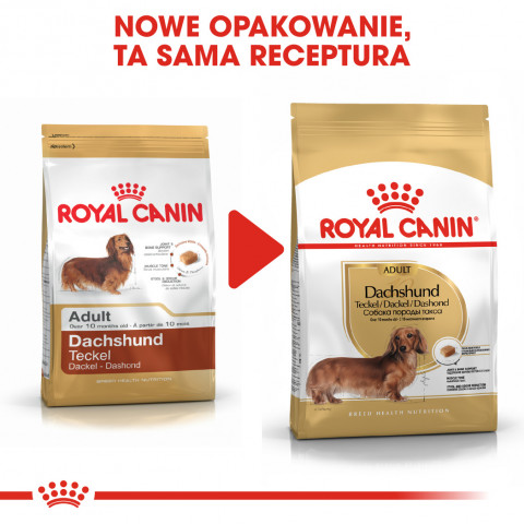 Royal Canin BHN Dachshund Adult - sucha karma dla psa dorosłego - 1,5kg - Galeria zdjęcie 8
