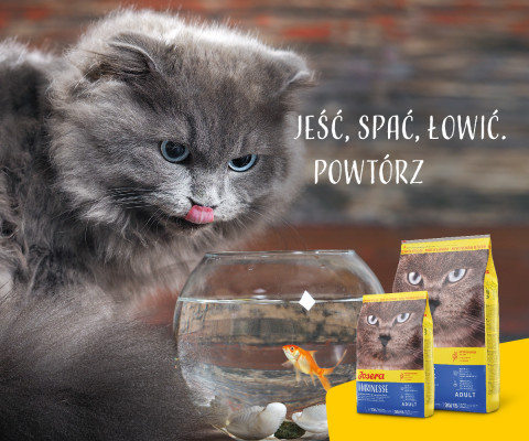 JOSERA Marinesse - sucha karma dla kota - 10kg + 2kg GRATIS! - Galeria zdjęcie 6