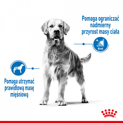 ROYAL CANIN CCN MEDIUM LIGHT WEIGHT CARE - sucha karma dla psa dorosłego - 3kg - Galeria zdjęcie 3
