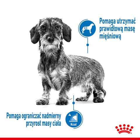 Royal Canin CCN MINI LIGHT WEIGHT CARE - sucha karma dla psa dorosłego - 3kg - Galeria zdjęcie 4