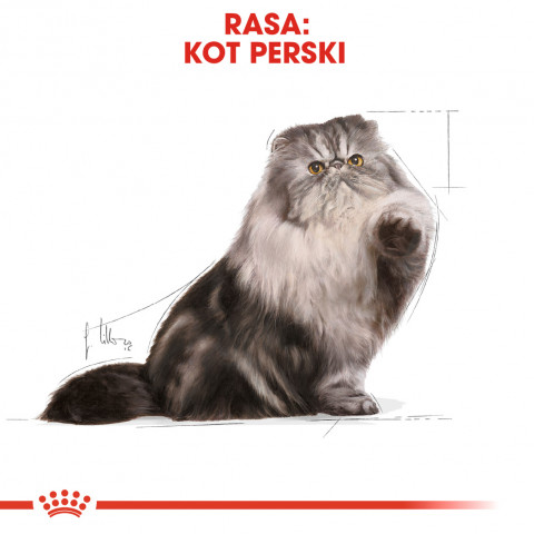 ROYAL CANIN FBN Persian Adult - sucha karma dla kota dorosłego - 10 kg - Galeria zdjęcie 5