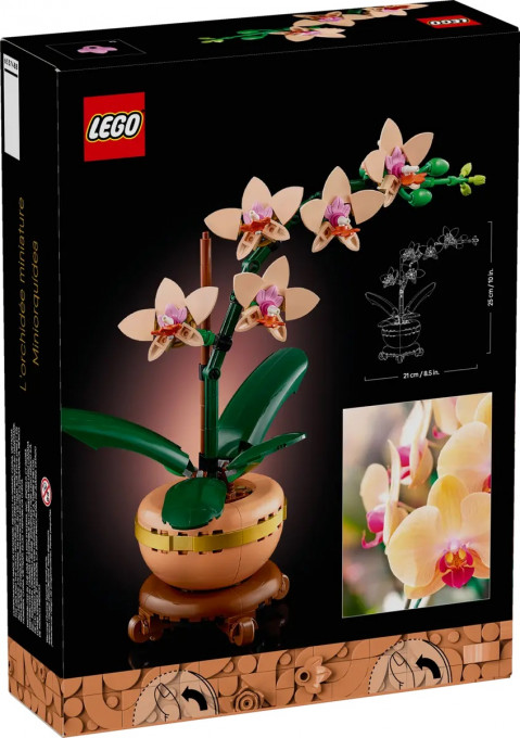 LEGO ICONS 10343 Botanicals - Mała orchidea - Galeria zdjęcie 2