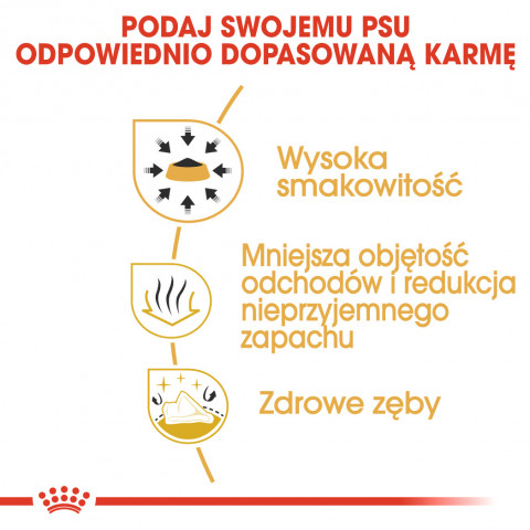 Royal Canin BHN Chihuahua Adult - sucha karma dla psa dorosłego - 1,5 kg - Galeria zdjęcie 5