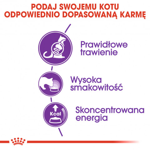 Royal Canin FHN Sensible - sucha karma dla kota dorosłego - 2 kg - Galeria zdjęcie 3