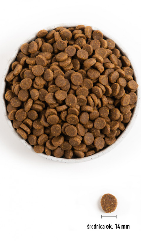 ACANA Dog Light & Fit Recipe - sucha karma dla psa - 11,4kg - Galeria zdjęcie 3