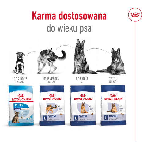 ROYAL CANIN SHN Maxi Adult - sucha karma dla psa dorosłego - 15 kg - Galeria zdjęcie 7