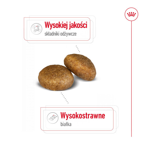 ROYAL CANIN SHN Maxi Adult - sucha karma dla psa dorosłego - 15 kg - Galeria zdjęcie 5