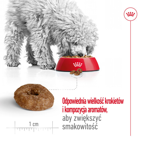 ROYAL CANIN Mini Ageing 12+ - sucha karma dla psa - 3,5 kg - Galeria zdjęcie 8