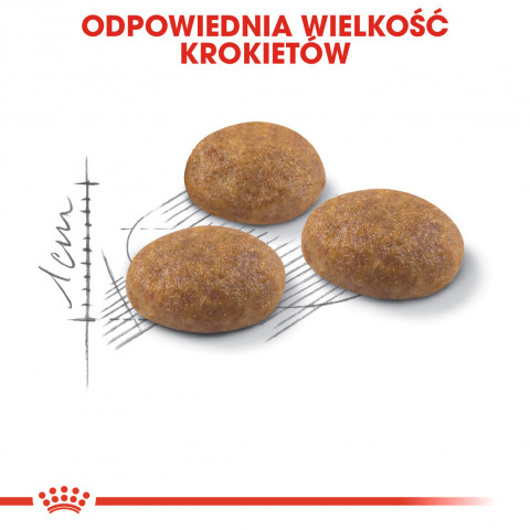 Karma Royal Canin FHN Outdoor 30 4 kg - Galeria zdjęcie 4
