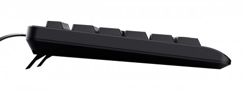 Klawiatura TRUST TK-150 KEYBOARD US (23980) - Galeria zdjęcie 4