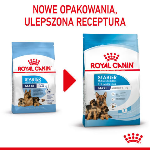 ROYAL CANIN SHN Maxi Starter Mother & Babydog - sucha karma dla psa - 4 kg - Galeria zdjęcie 2