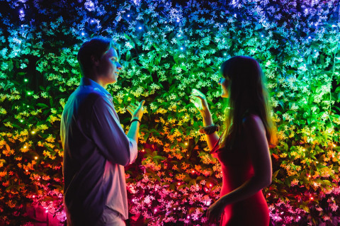 Inteligentne lampki choinkowe Twinkly 600 RGB 48m - Galeria zdjęcie 10