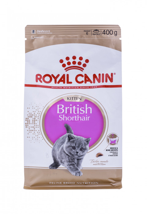 ROYAL CANIN British Shorthair Kitten 0,4kg - Galeria zdjęcie 2