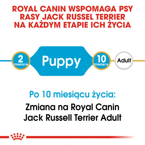 Royal Canin BHN Jack Russel Puppy - sucha karma dla szczeniąt - 3 kg - Galeria zdjęcie 9