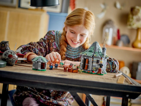 LEGO Harry Potter 76428 Chatka Hagrida: niespodziewana wizyta - Galeria zdjęcie 10