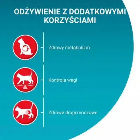 PURINA One Sterilcat Wołowina - sucha karma dla kota - 9,75 kg - Galeria zdjęcie 4