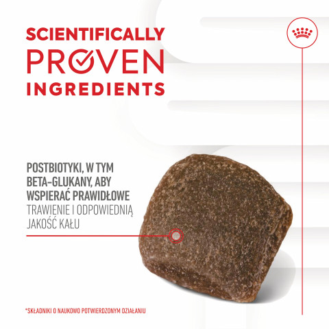 ROYAL CANIN Supplements Dog Digestion Adult - suplementy dla psa - 160g - Galeria zdjęcie 10