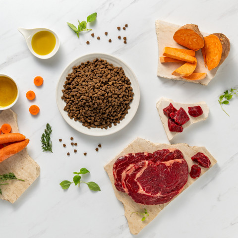 VetExpert Raw Paleo Ultra Wołowina Mini Puppy 750g - Galeria zdjęcie 4