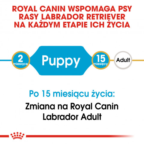 ROYAL CANIN BHN Labrador Puppy - sucha karma dla szczeniąt - 12kg - Galeria zdjęcie 5