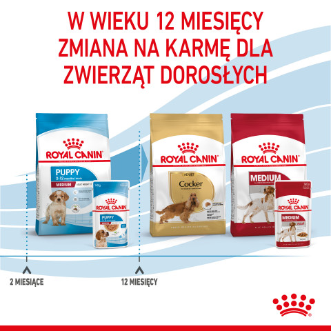 ROYAL CANIN SHN Medium Puppy w sosie - mokra karma dla szczeniąt - 10X140g - Galeria zdjęcie 12