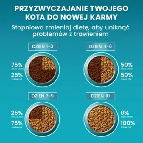 PURINA One Sterilcat Wołowina - sucha karma dla kota - 9,75 kg - Galeria zdjęcie 5