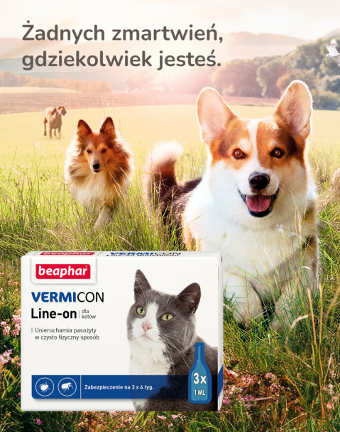 BEAPHAR VERMICON Line-on Cat - krople przeciw pasożytom dla kota - 3x1 ml - Galeria zdjęcie 11