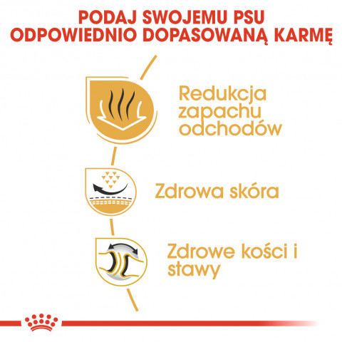 ROYAL CANIN BHN Bulldog Adult - sucha karma dla psa dorosłego - 12 kg - Galeria zdjęcie 4