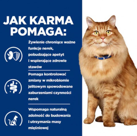 HILL'S PD K/D Kidney + Mobility Chicken - sucha karma dla kota - 3 kg - Galeria zdjęcie 5