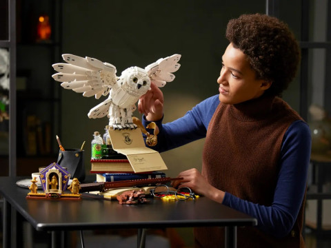 LEGO Harry Potter 76391 Ikony - Hogwartu Edycja Kolekcjonerska - Galeria zdjęcie 9