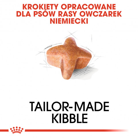 ROYAL CANIN BHN German Sh Ad - sucha karma dla psa dorosłego - 11 kg - Galeria zdjęcie 4