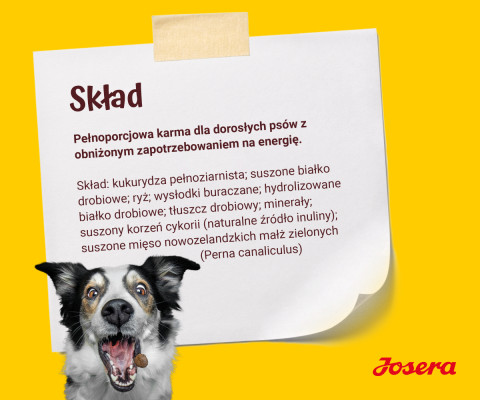 JOSERA Balance - sucha karma dla psa - 12,5kg + GRATIS! - Galeria zdjęcie 11
