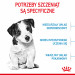 ROYAL CANIN Puppy Mini SHN - sucha karma dla szczeniąt - 2 kg - Galeria zdjęcie 6