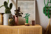 LEGO ICONS 10344 Botanicals - Dracena sandera - Galeria zdjęcie 8