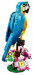 LEGO Creator 31136 Egzotyczna papuga - Galeria zdjęcie 4