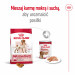 ROYAL CANIN SHN Medium Adult - sucha karma dla psa - 15 kg - Galeria zdjęcie 12